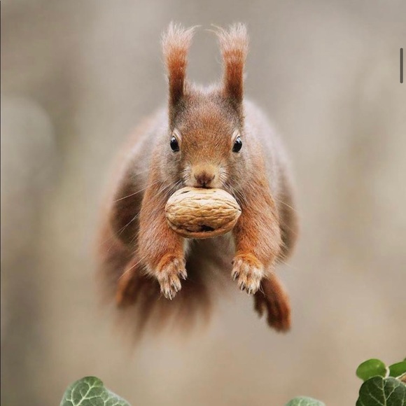 Meet your Posher, Laura - Picture 2 of 13